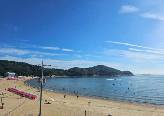 인천 가볼만한곳 베스트 10 실내 밤에 아이들과 송도 영종도 총정리 남동구 중구 서구 바다 해수욕장 갯벌 지도 쇼핑몰 맛집 일산 카페 물때표 공항 주변 청라 부평 아이와 데이트 근교 아이랑 어린이 강화비오는날 교동도 계양구 겨울에 월미도 축제
