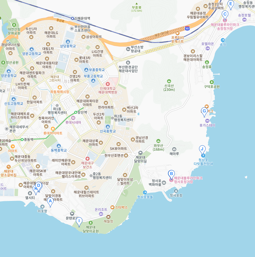 부산 가볼만한곳 베스트10 실내 근교 갈만한곳 놀만한곳 추천 여행 코스 더쿠 해녀촌 아이들과 아이와 기장 영도 광안리 해운대 송도 중구 순위 호텔 데이트 숙소 