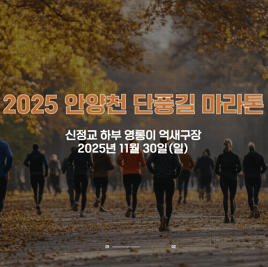 2025 안양천 단풍길 마라톤 대회 서울 한강 부산 대구 인천 일정 참가 접수 신청 11월 가을 일정표 추천 참가비 방법 조건 러닝워치 기념품 시상 메달